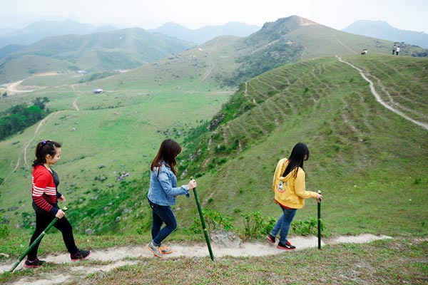 Kinh nghiệm cắm trại ở Đồng Cao